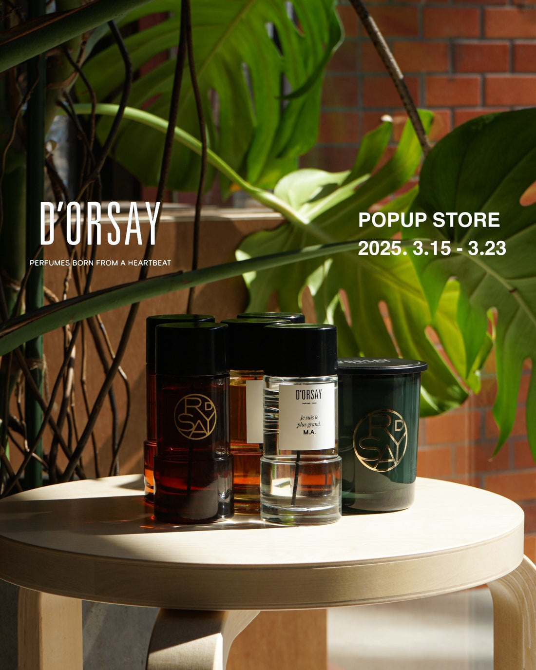 【2025年3月15日(土)~3月23日(日)】仙台 ans.にてPOPUP STOREを開催