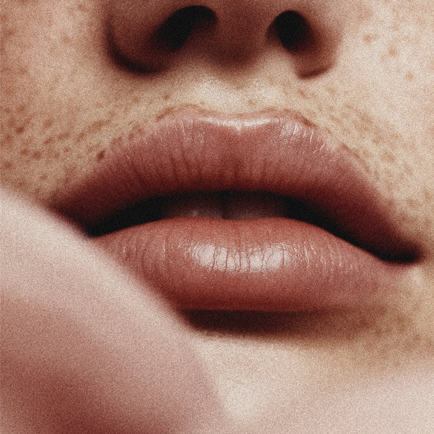 スール テ レーヴル E.Q.