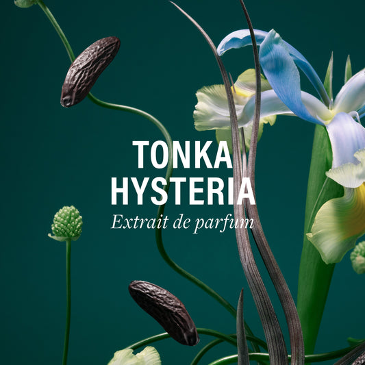 トンカヒステリア