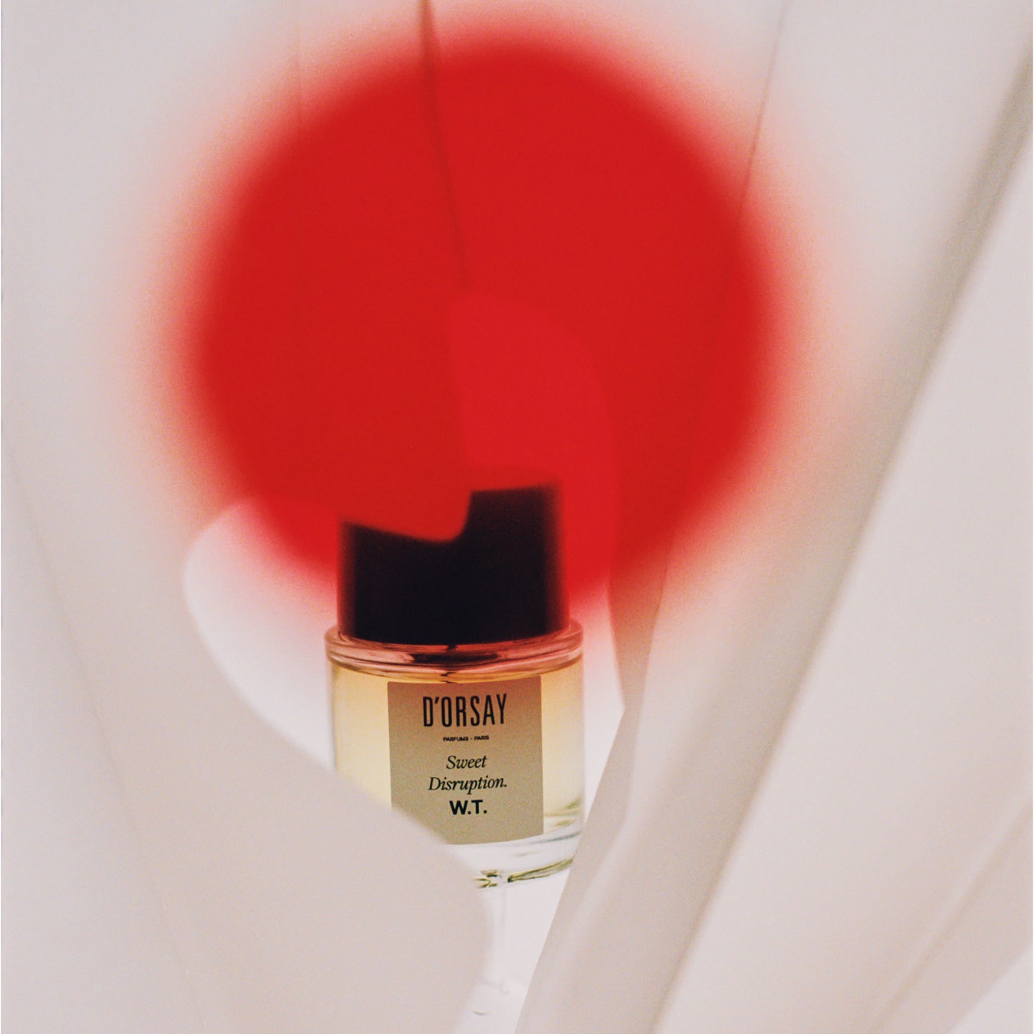 W.T. フレグランス - ドルセー ジャパン (d'Orsay Japan) | パルファム