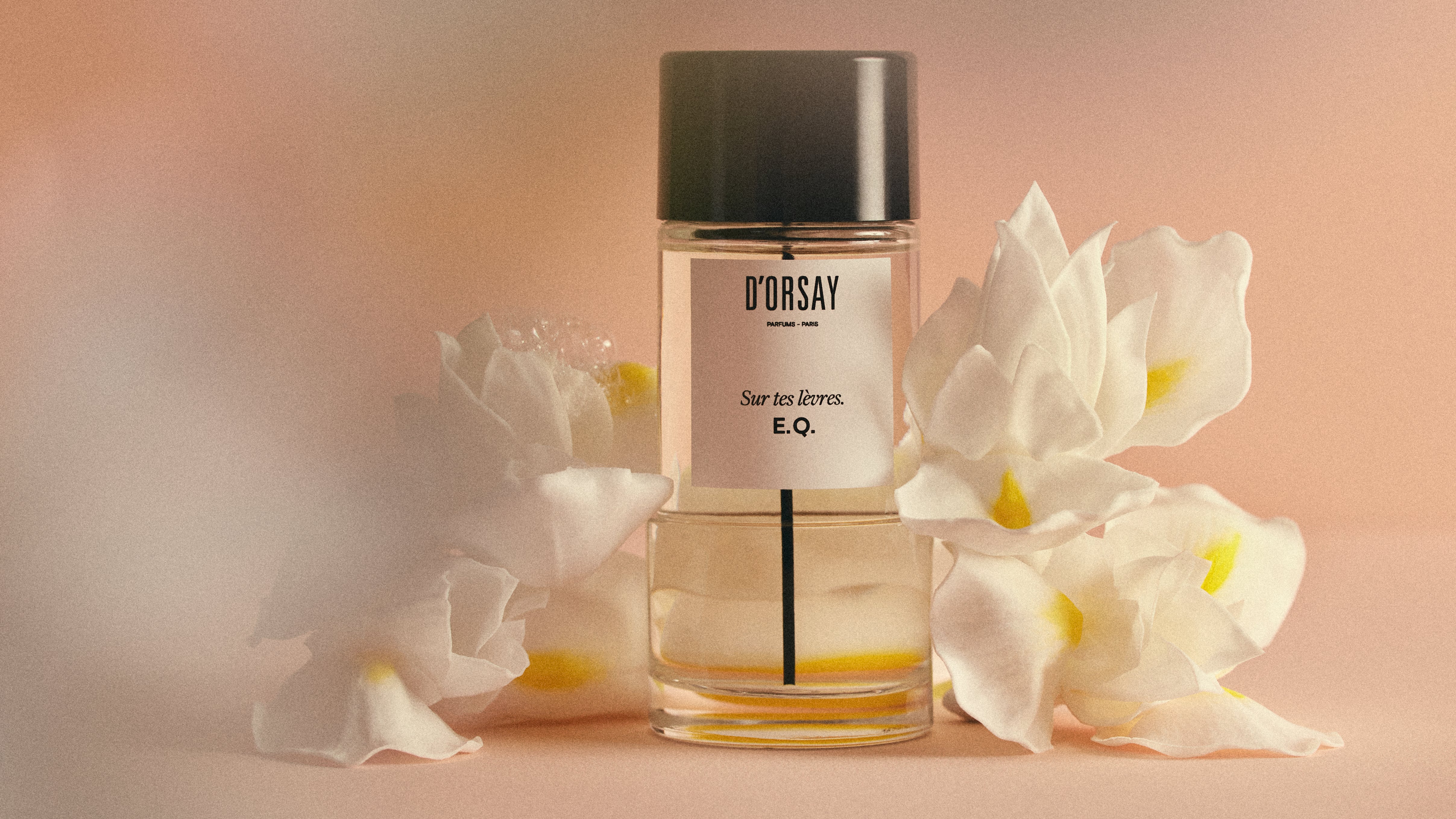 ドルセー ジャパン (D'ORSAY Japan) | パルファム・香水 – ドルセー 
