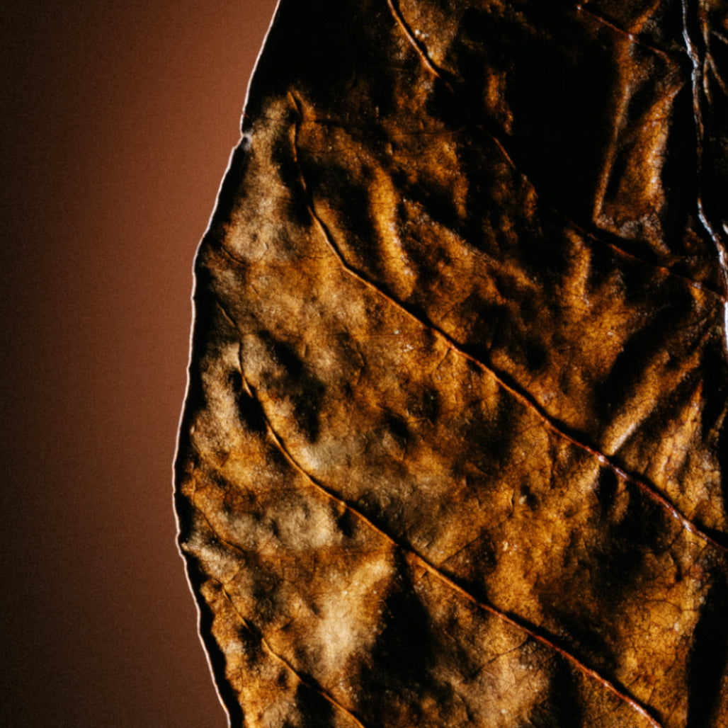 BALKAN TOBACCO
